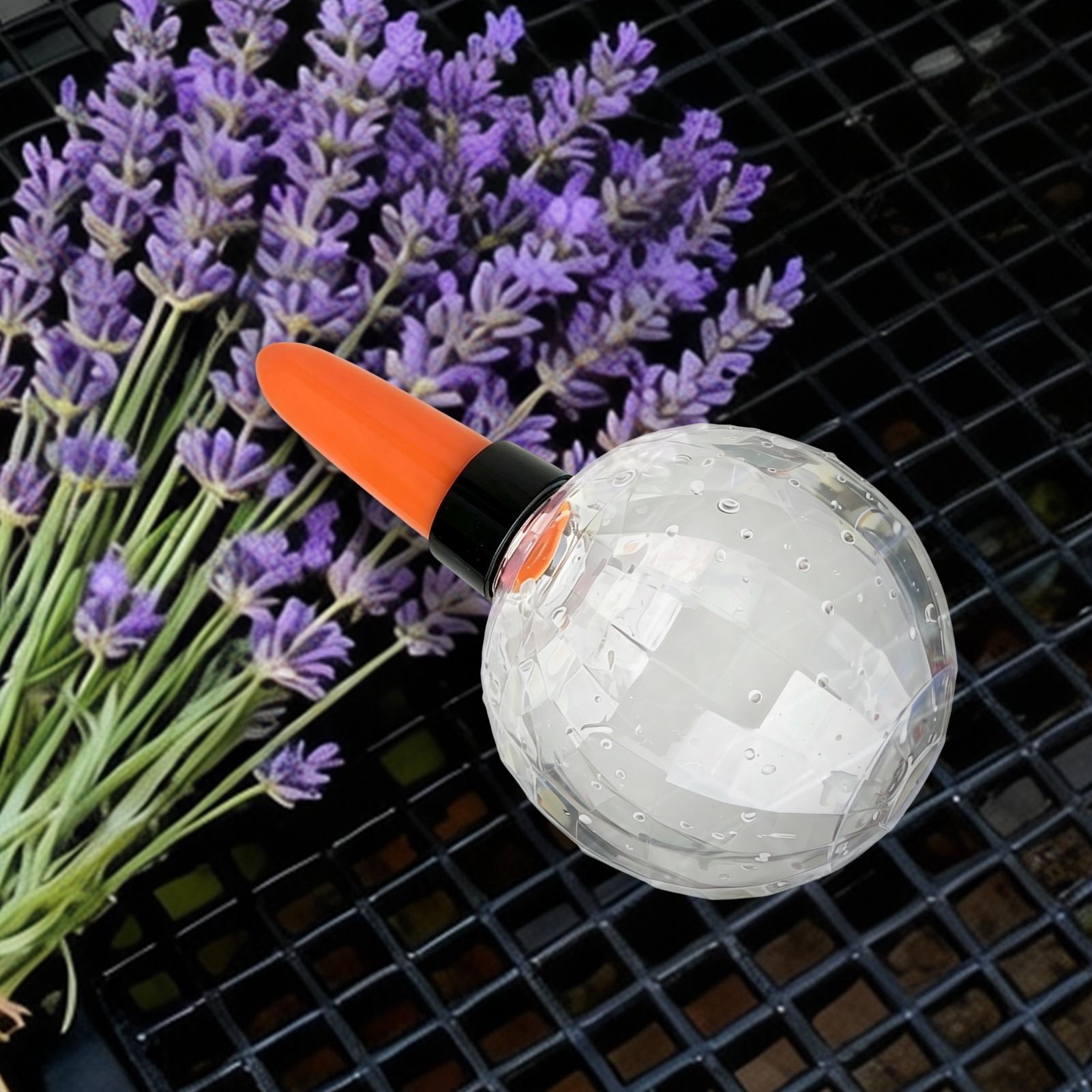 Penyiram Otomatis Tanaman 500m - Self Watering Insert ulasan dan harga