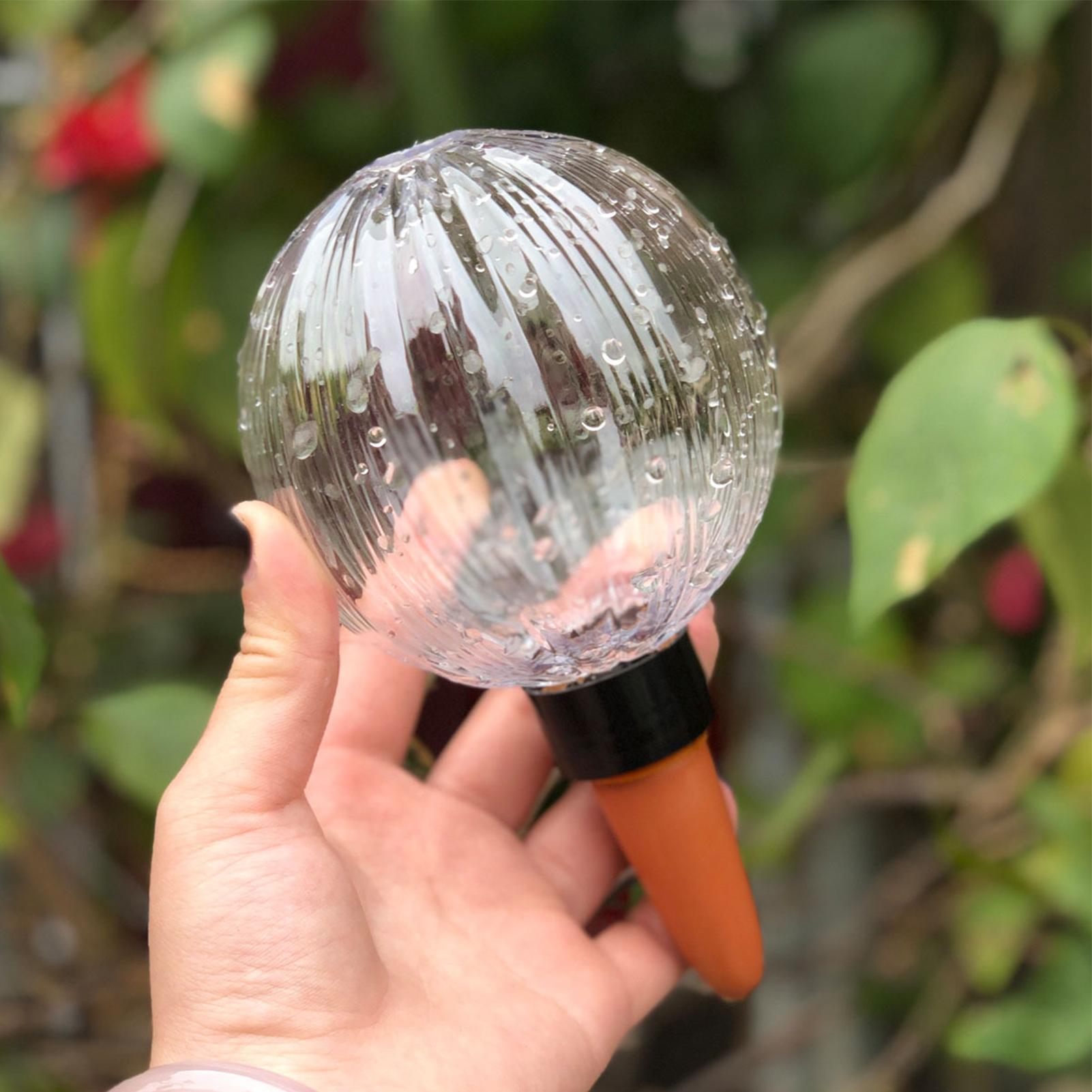 Penyiram Otomatis Tanaman 500m - Self Watering Insert ulasan dan harga