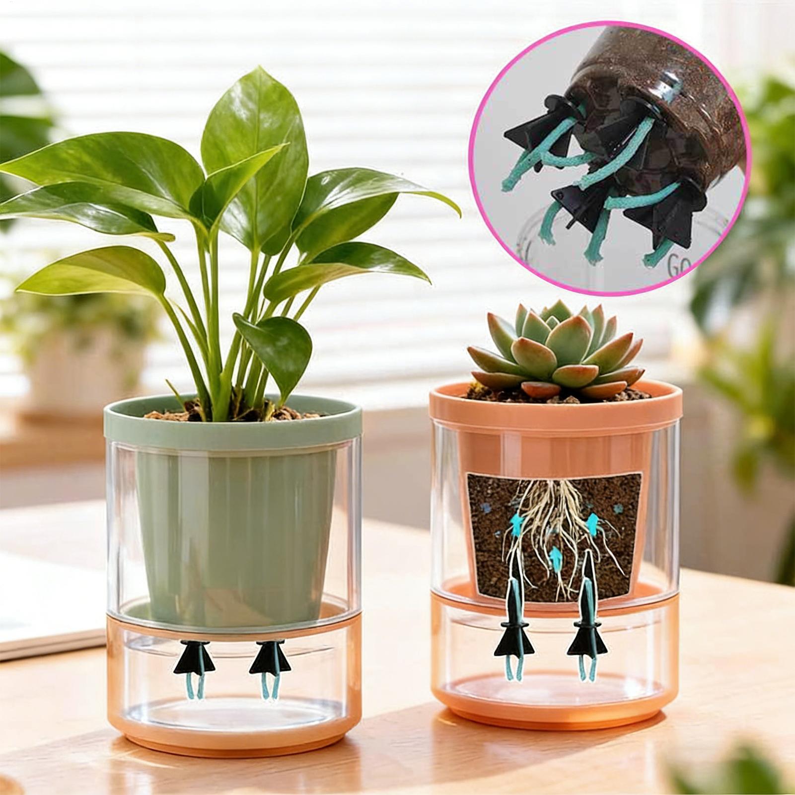 Penyiram Tanaman Otomatis 4 Bu - Self Watering Insert ulasan dan harga