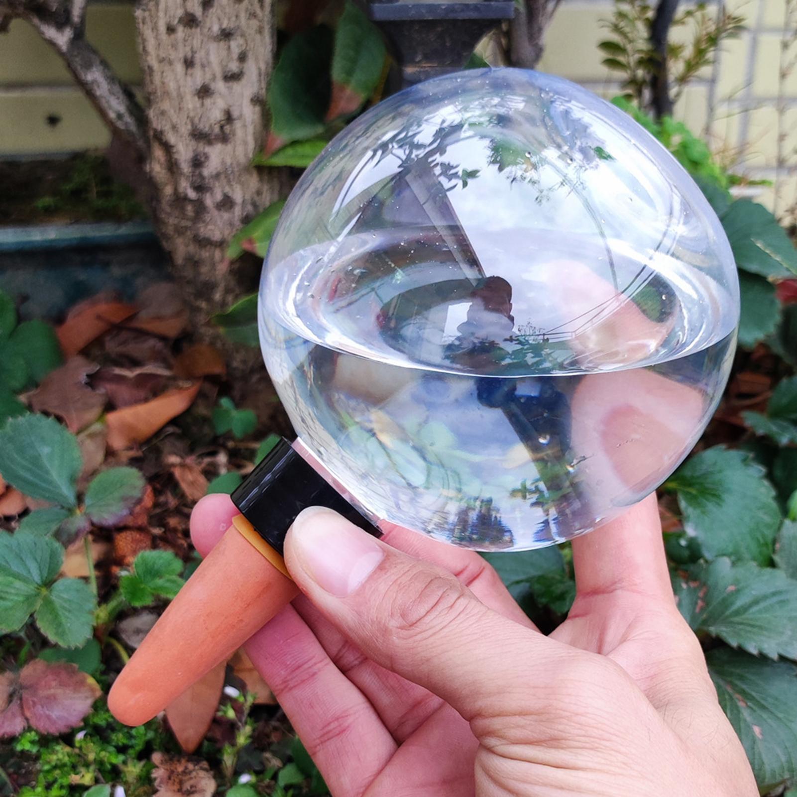 500Ml Bola Penyiraman Otomatis - Self Watering Insert ulasan dan harga