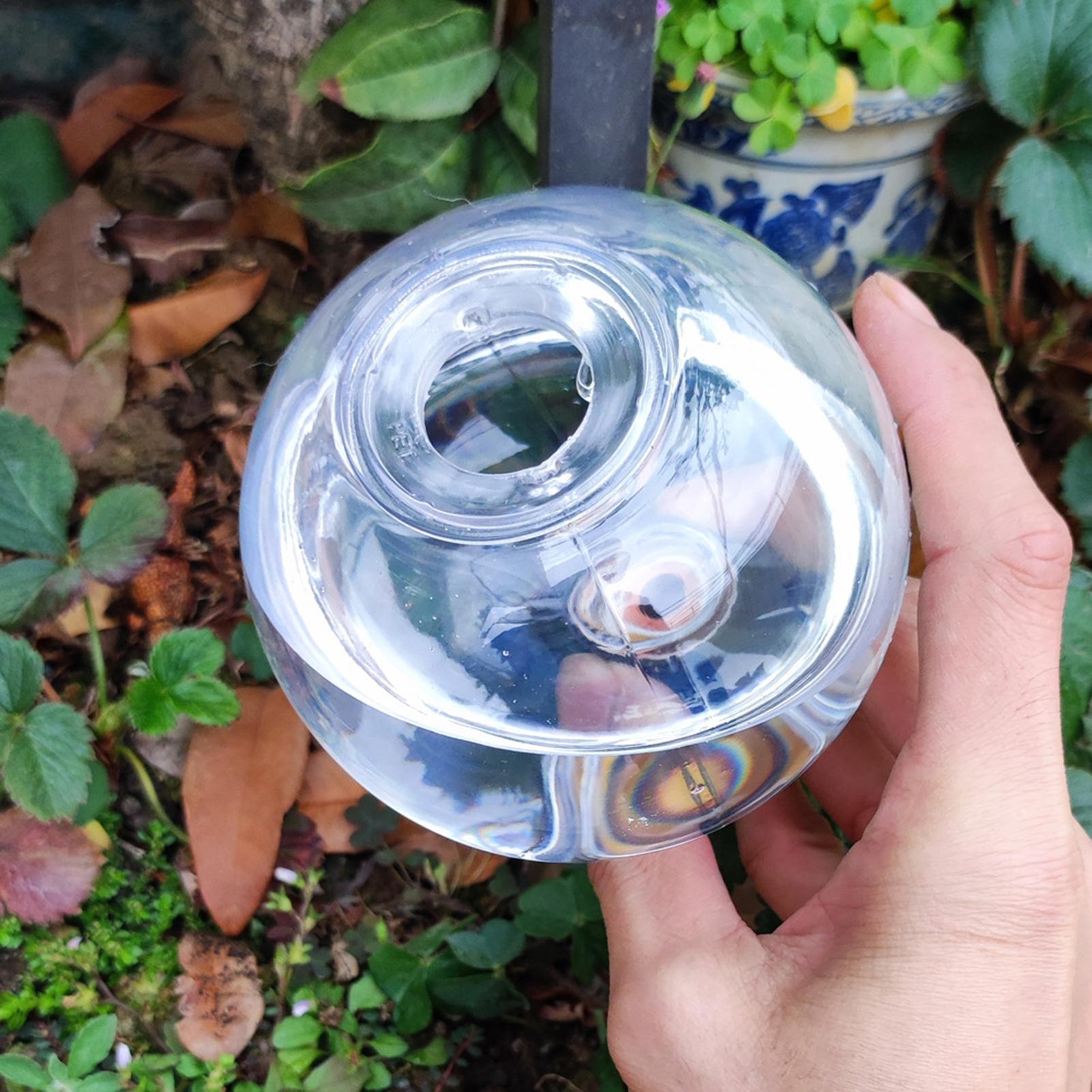 500Ml Bola Penyiraman Otomatis - Self Watering Insert ulasan dan harga