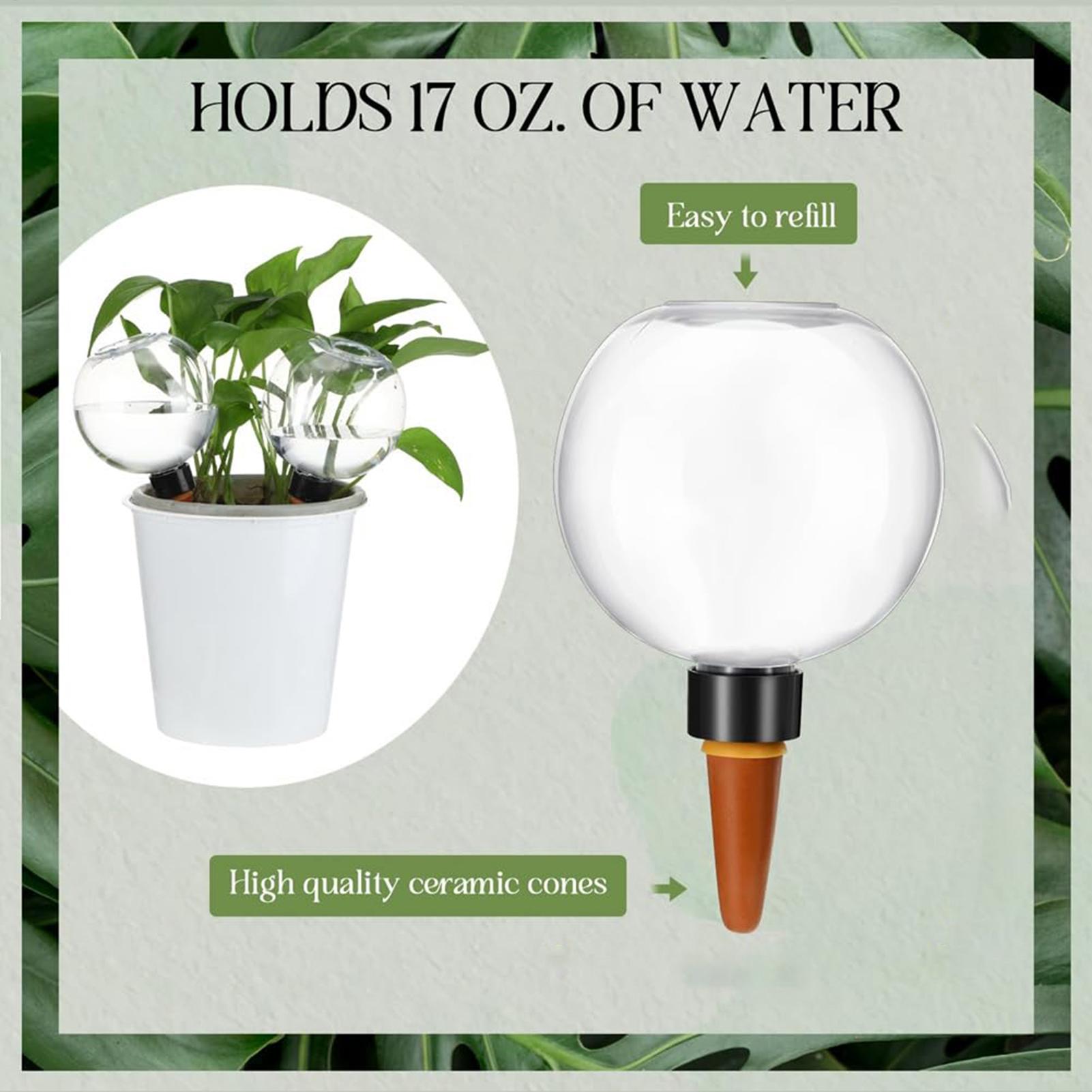 500Ml Bola Penyiraman Otomatis - Self Watering Insert ulasan dan harga
