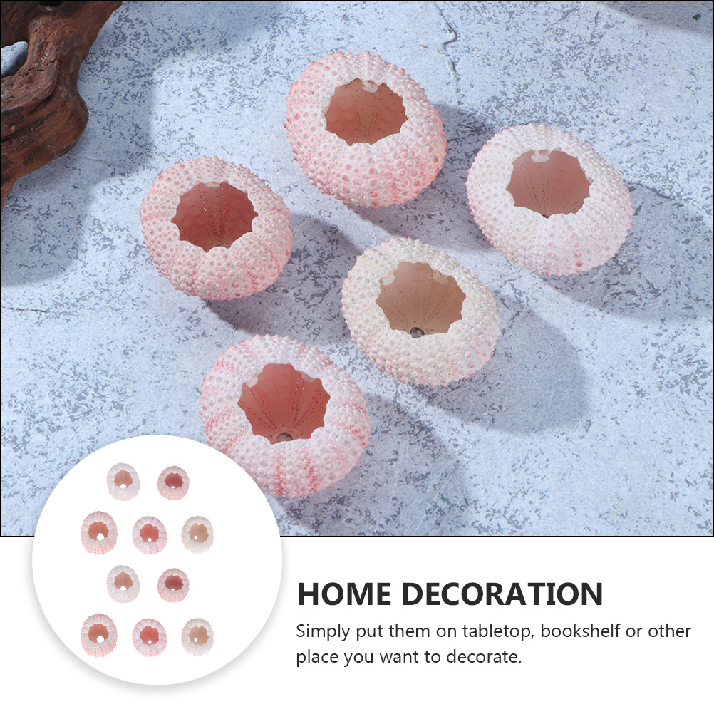 10 Buah DIY Perhiasan Membuat  - Propagation Station Vase ulasan dan harga