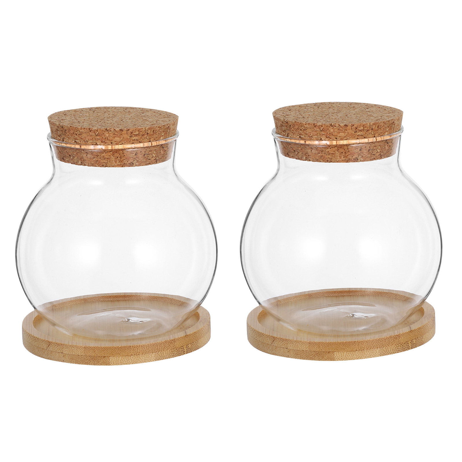 2Set Vas Tanaman Air Hidroponi - Propagation Station Vase ulasan dan harga